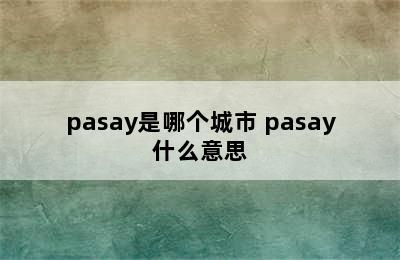 pasay是哪个城市 pasay什么意思